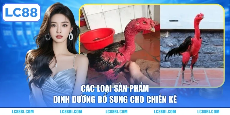 Các loại sản phẩm dinh dưỡng bổ sung cho chiến kê