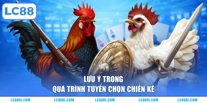 Lưu ý trong quá trình tuyển chọn chiến kê