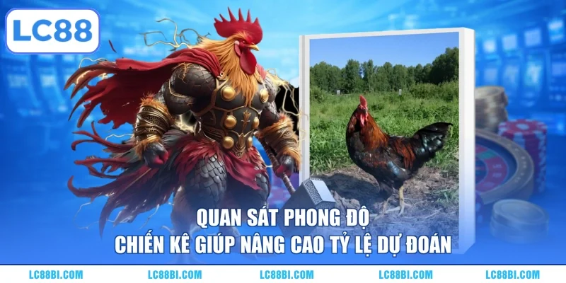 Quan sát phong độ chiến kê giúp nâng cao tỷ lệ dự đoán
